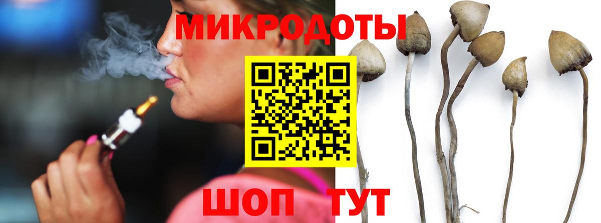 Краснокаменск  Псилоцибиновые грибы Cubensis  Вход с VPN 